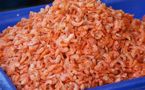 How To Store Dried Shrimp At Terri Beatty Blog