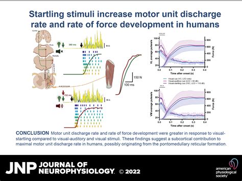 Startling Stimuli Increase Maximal Motor Unit Discharge Rate And Rate