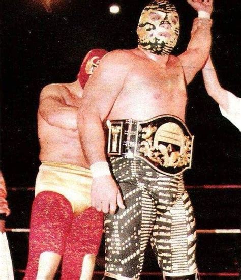 Pin by Dan Babei on mask | Luchador, Wrestling, Wwe