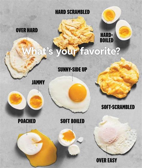 Egg Lover Reggs