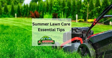 Summer Lawn Care Essential Tips J Gudiel Landscape