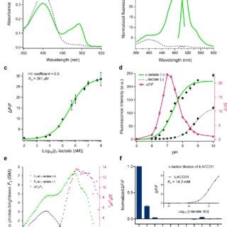 In Vitro Characterization Of Ilacco A Absorbance Spectra Of Ilacco