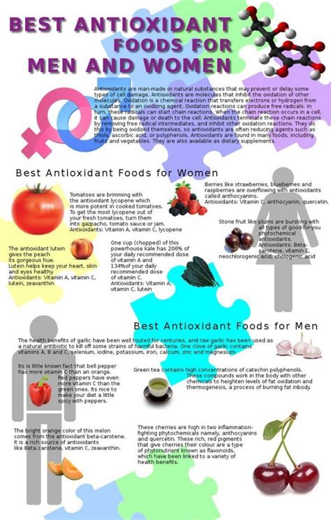 Best Antioxidant Foods For Men And Women Yabibo