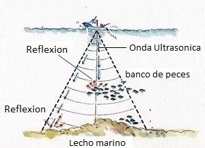 Como Funciona Una Ecosonda Fish Finder