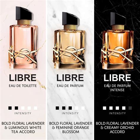 Ysl Libre Edt Fragrância Deslumbrante An Beauty