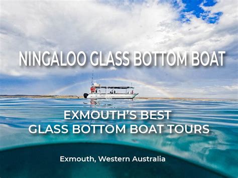 Benefits of Glass Bottom Boat Tours: Explore Ningaloo Reef