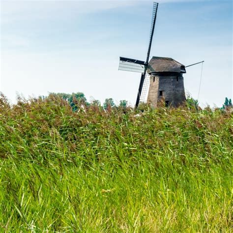 Premium Photo Typical Dutch Landscape In Alkmaar The Netherlands