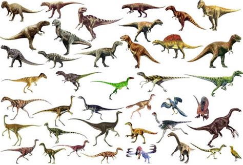 DINOLÂNDIA TIPOS DE DINOSSAUROS