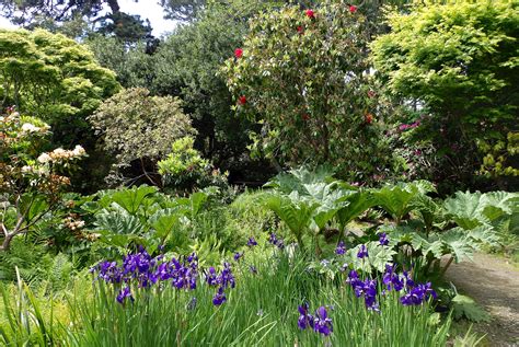 Woodland Garden Photo Galleries Mcbg Inc 2020 Fort Bragg California