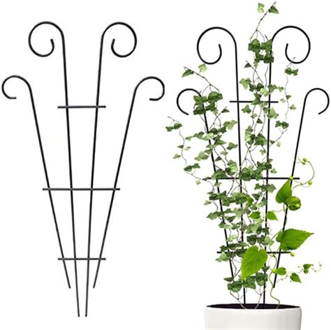 Pcs Plant Trellis For Climbing Plants Outdoor Black Coated Fan Pot