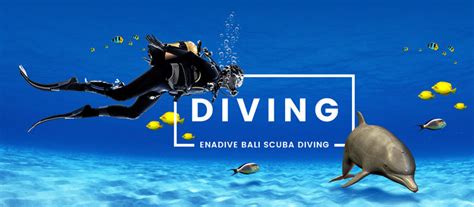 Bali Scuba Diving Packages - Bali Scuba Diving - PADI Scuba Diving ...