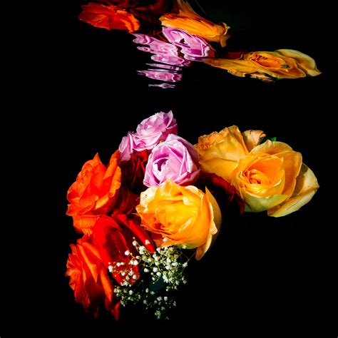 cut flowers underwater 1