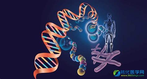 人类基因编辑基本原则发布 就其研究的科学、伦理及监管问题提出框架 政策 转化医学网 转化医学核心门户