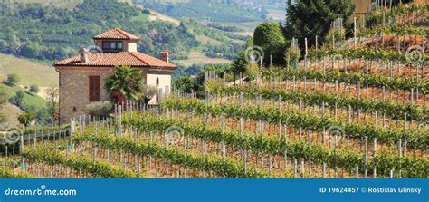 House On Hill With Vineyards In Northern Italy Stock Image Image Of