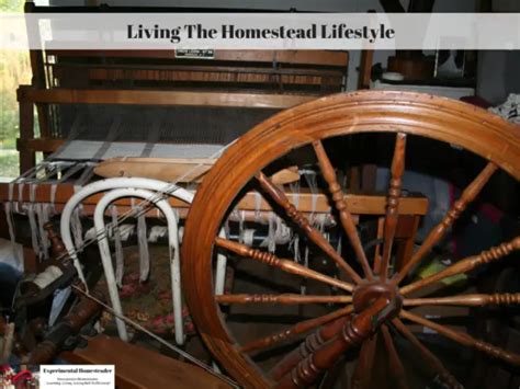 Living The Homestead Lifestyle - Experimental Homesteader