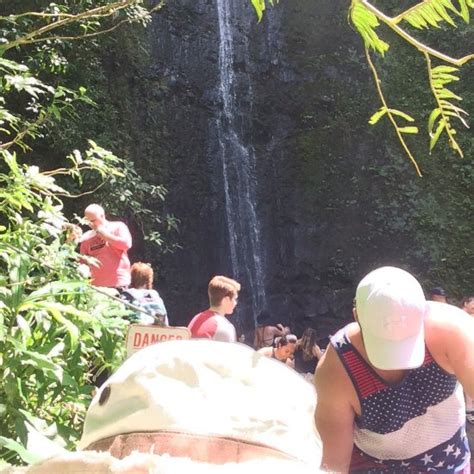 Manoa Falls (Honolulu) - All You Need to Know Before You Go - TripAdvisor