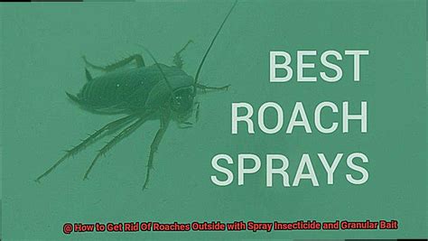 How To Get Rid Of Roaches Outside With Spray Insecticide And Granular Bait All About Roaches