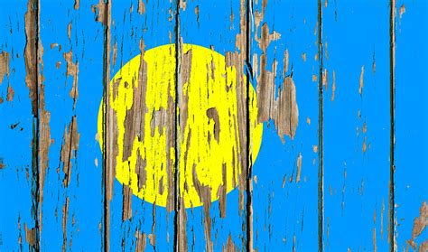 Palau Flag Peeling Paint Distressed Barnwood Mixed Media By Design