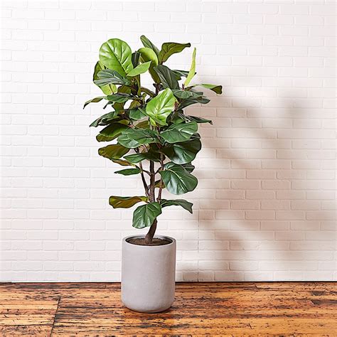 Faux Fiddle Leaf Fig Tree Wartisan Pot Cg Hunter Luxury Faux Plants