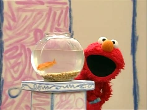 Elmo's World (1998) theme song | The Dubbing Database | Fandom