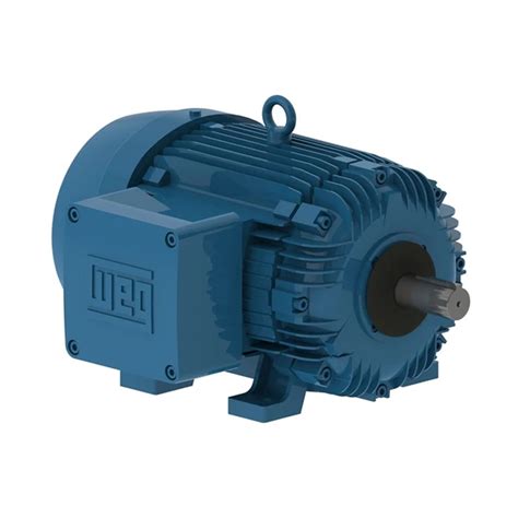 W21 Explosion Proof Motor NEMA Premium Efficiency 230 460V 3Ph 20