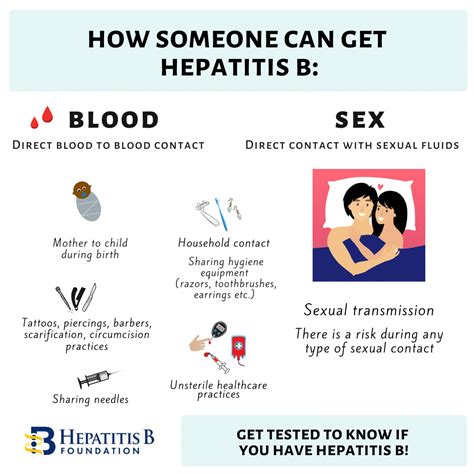 Hbsag Test What Does It Mean Positive Or Negative Results Cassette