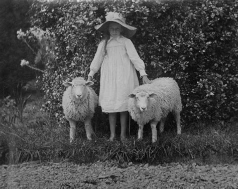 Constance Nelson With “tim ” And “billy” The Sheep Late 19th Early 20th Century Working Man