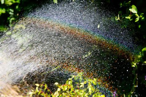 Hosepipe Rainbows Click Photography Workshops