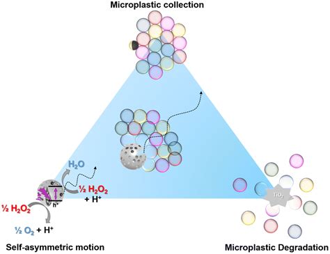 Combining Photocatalytic Collection And Degradation Of Microplastics