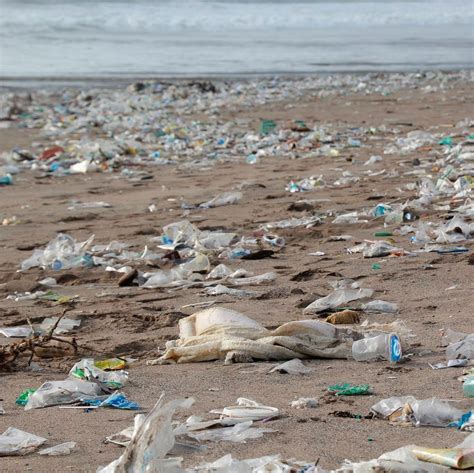 ocean plastic waste  increasing industry uncertainty