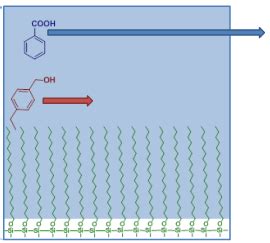 Principle of Reversed-Phase Chromatography HPLC/UPLC (with Animation ...