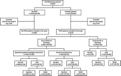 Clinical Course Of Postoperative Atrial Fibrillation After Cardiac