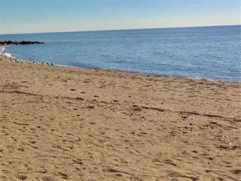 2 Branford Beaches Shuttered Due To High Bacteria Levels: Health Dept ...