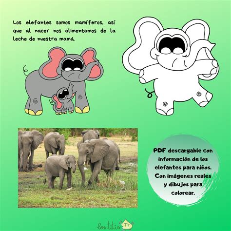 Sicher Parasit Wagen Caracteristicas Del Elefante Atomar Strahl Sui