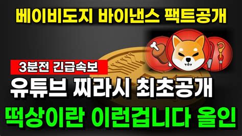 🔥코인추천🔥베이비도지 바이낸스 상장 팩트공개 이거 놓치면 코인판 떠나세요 마지막기회 밈코인 밈코인 추천 베이비도지코인