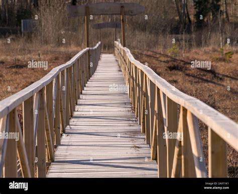 Landscape With A Wooden Pedestrian Footbridge Over A Swampy Lake Shore