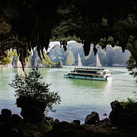 The Best Halong Bay Day Trips For 2025 Your Ultimate Cruise Guide