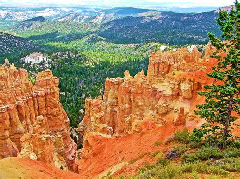 Ponderosa Point In Bryce Canyon National Park Utah Photograph By Ruth Hager