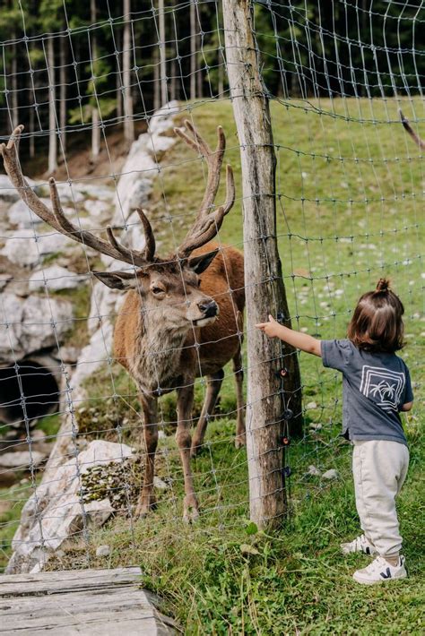 Auf Kleine Aber Auch Gro E Entdecker Wartet Bei Uns Im Naturhotel