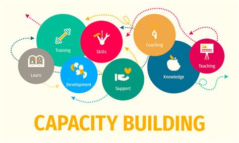 Developing Human Capacity To Grow The Knowledge Economy By Rahma Oladosu