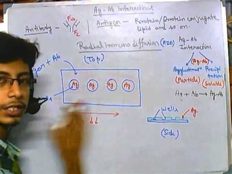 Radial Immunodiffusion