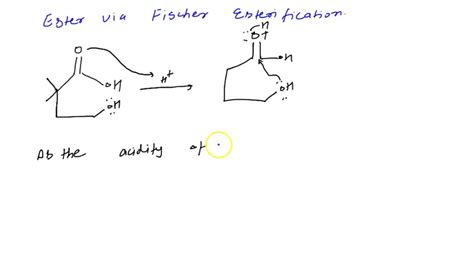 Solved Where Would The Label Appear In The Products For The Fischer