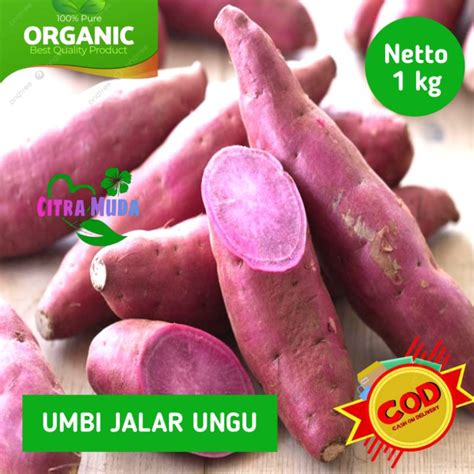 Jual Umbi Ungu Segar 1kg Shopee Indonesia