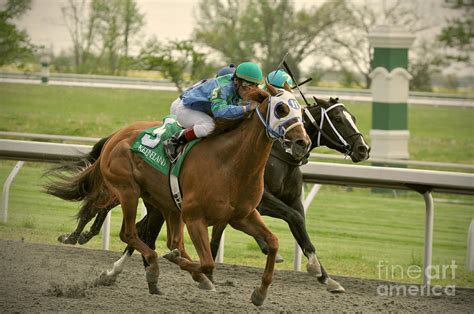 Thoroughbred Racing Photograph by Samantha Strong - Fine Art America