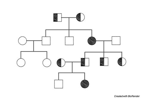 Pedigree Analysis Definition Pedigree Chart And Examples