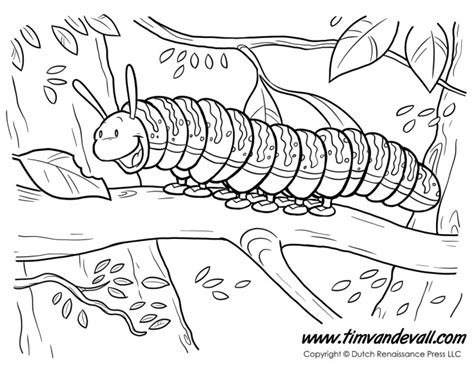 Caterpillar Coloring Page Tims Printables