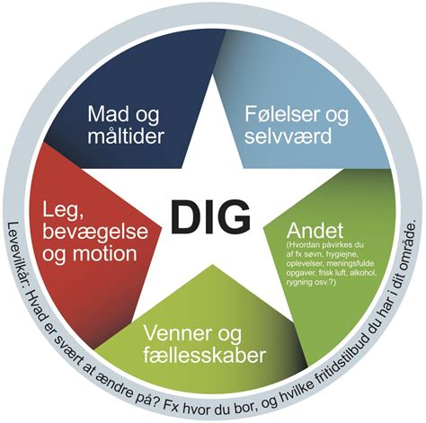 Sundhedsstjernen En Didaktisk Model Til Sundhedsundervisningen