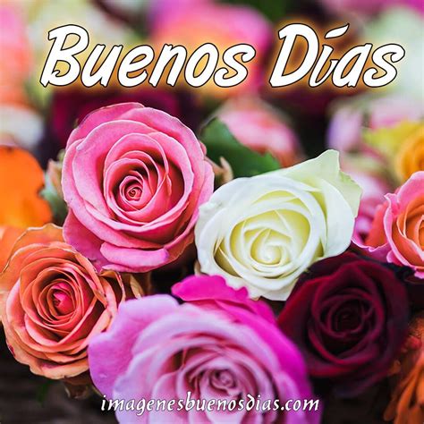 Imágenes buenos días con flores » Imágenes Buenos Días