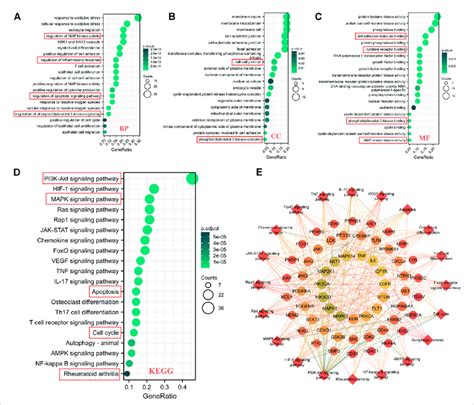 Go And Kegg Pathway Enrichment Analysis Of Potential Key Targets Of