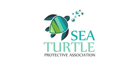 Sea turtle logo • LogoMoose - Logo Inspiration